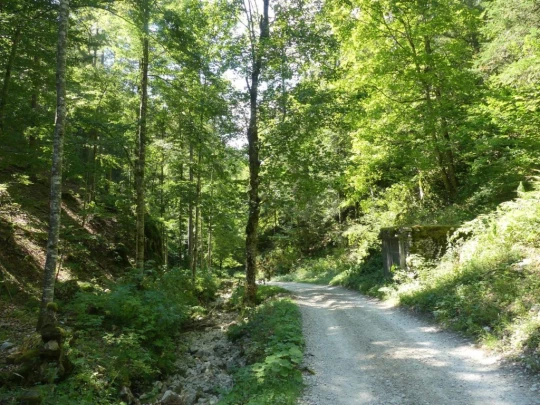 les-hauts-geneveys-la-sagne-168