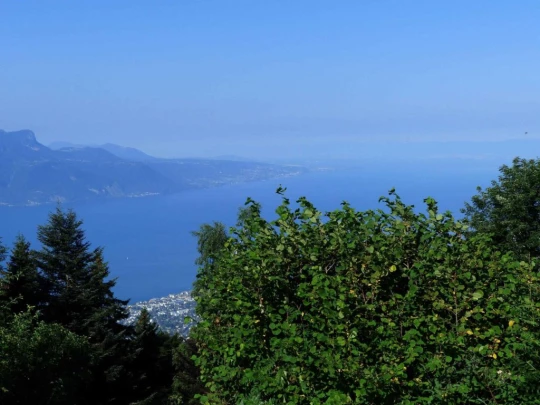 les-pleiades-les-paccots-104