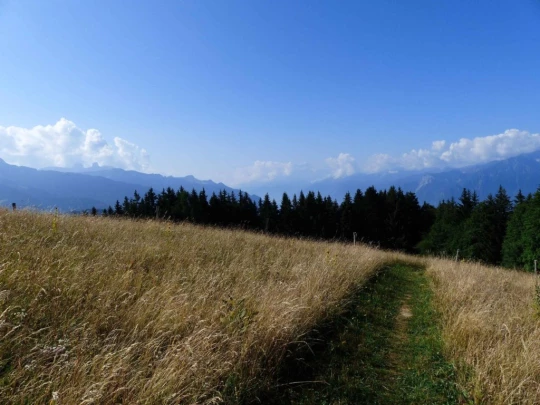 les-pleiades-les-paccots-109