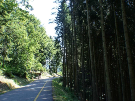 les-pleiades-les-paccots-116