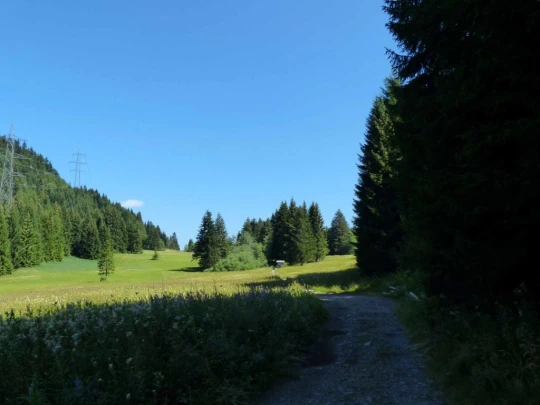 les-pleiades-les-paccots-117