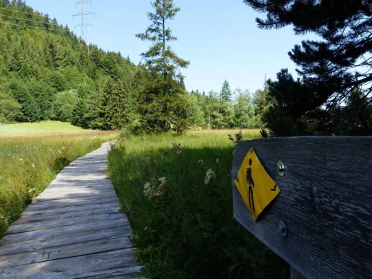 les-pleiades-les-paccots-120