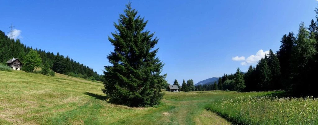 les-pleiades-les-paccots-122