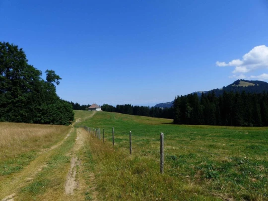 les-pleiades-les-paccots-124