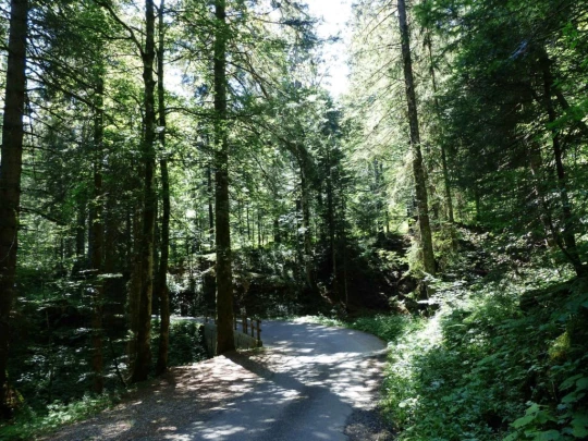 les-pleiades-les-paccots-128