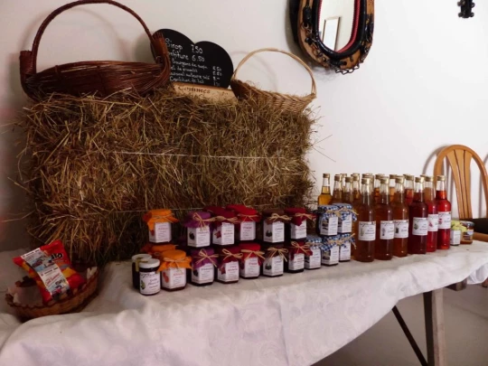 les-pleiades-les-paccots-135