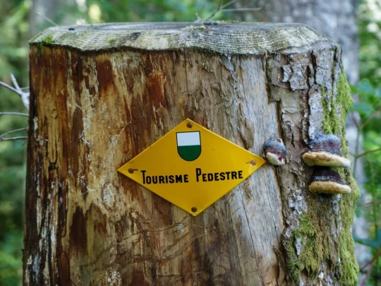 les-pleiades-les-paccots-138