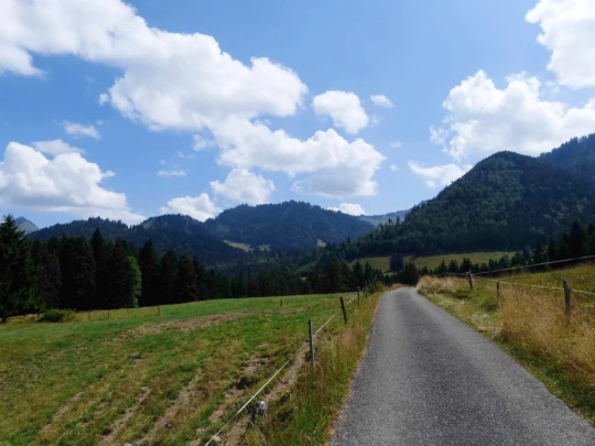 les-pleiades-les-paccots-139