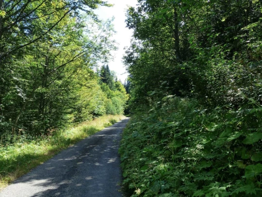 les-pleiades-les-paccots-147