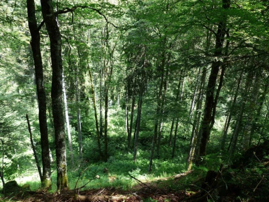 les-pleiades-les-paccots-150