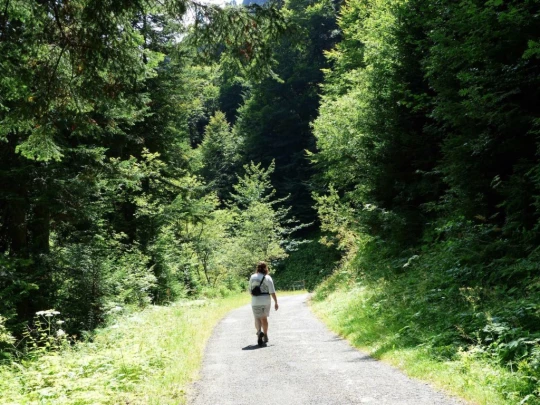 les-pleiades-les-paccots-151