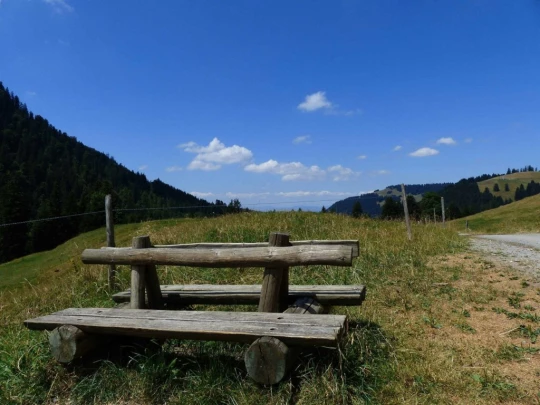 les-pleiades-les-paccots-156