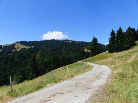 les-pleiades-les-paccots-160