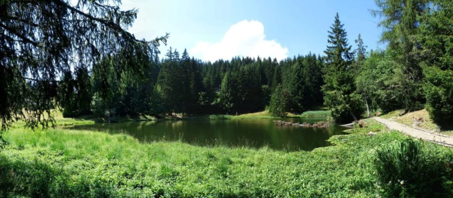 les-pleiades-les-paccots-164