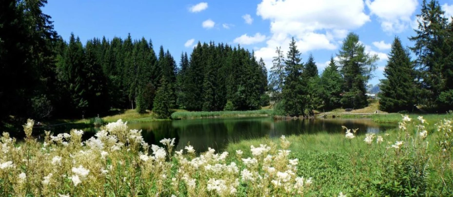 les-pleiades-les-paccots-165