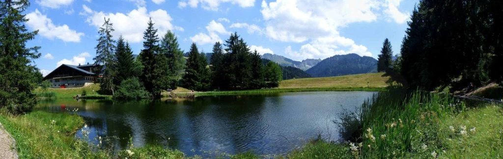 les-pleiades-les-paccots-168