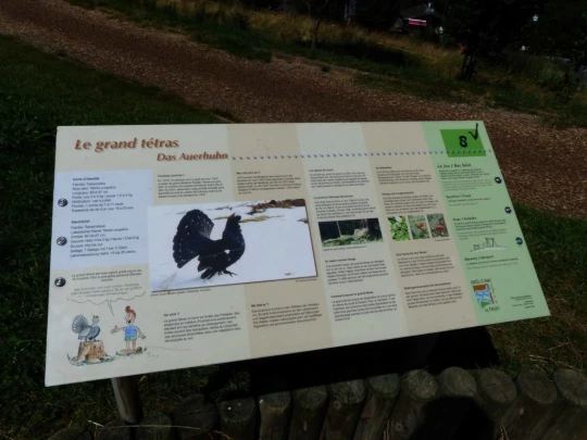 les-pleiades-les-paccots-171