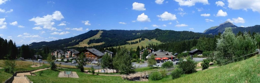 les-pleiades-les-paccots-173