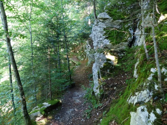 les-ponts-de-martel-la-chaux-de-fon-110