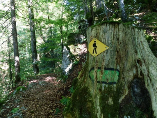les-ponts-de-martel-la-chaux-de-fon-111