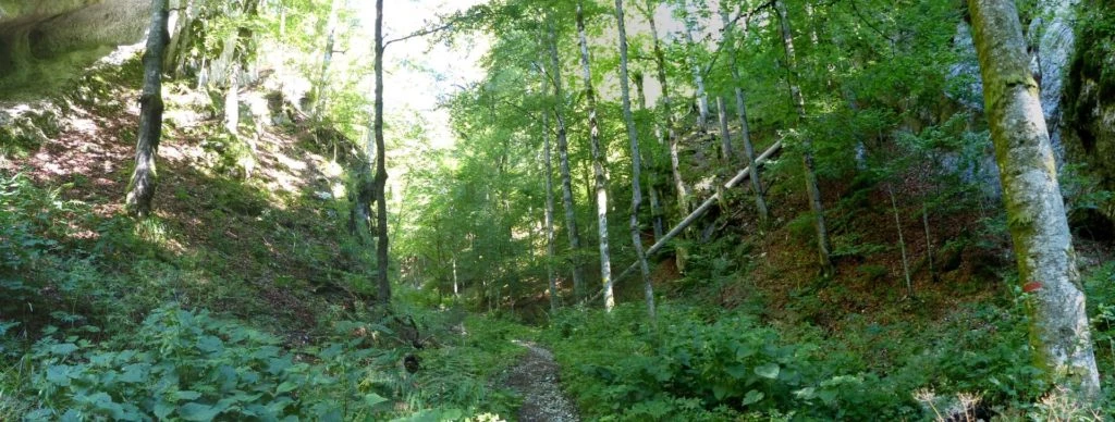 les-ponts-de-martel-la-chaux-de-fon-113