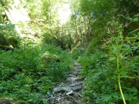 les-ponts-de-martel-la-chaux-de-fon-115