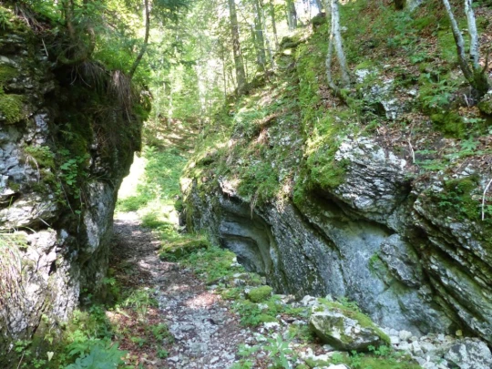 les-ponts-de-martel-la-chaux-de-fon-116