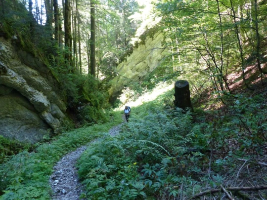 les-ponts-de-martel-la-chaux-de-fon-118