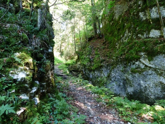 les-ponts-de-martel-la-chaux-de-fon-119