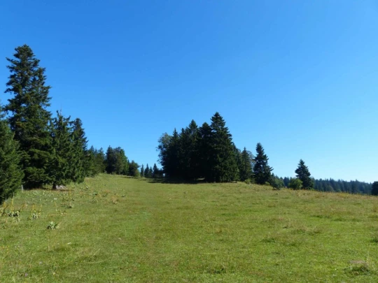 les-ponts-de-martel-la-chaux-de-fon-124