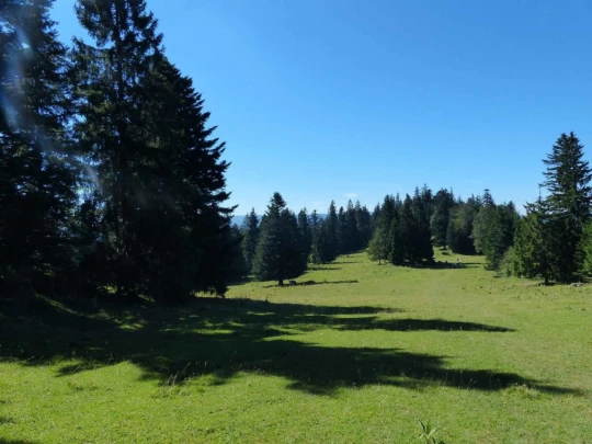 les-ponts-de-martel-la-chaux-de-fon-125