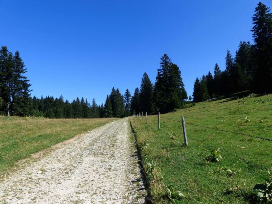 les-ponts-de-martel-la-chaux-de-fon-129