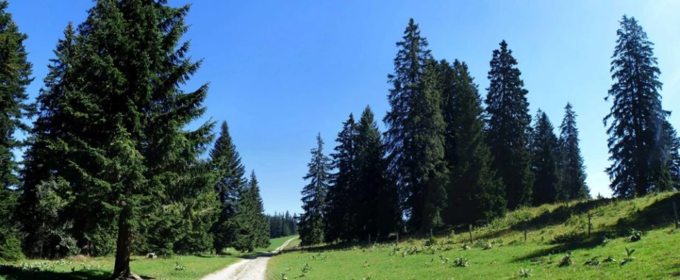 les-ponts-de-martel-la-chaux-de-fon-131