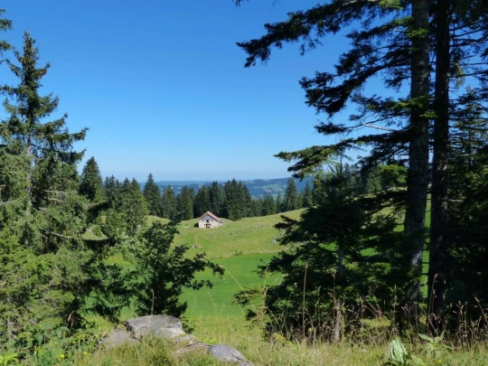 les-ponts-de-martel-la-chaux-de-fon-133