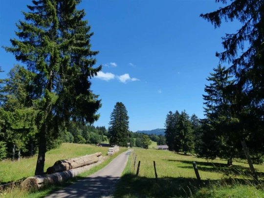 les-ponts-de-martel-la-chaux-de-fon-146