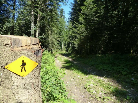 les-ponts-de-martel-la-chaux-de-fon-149