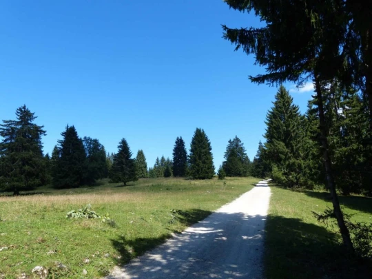 les-ponts-de-martel-la-chaux-de-fon-151