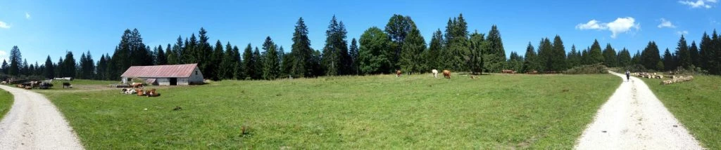 les-ponts-de-martel-la-chaux-de-fon-153