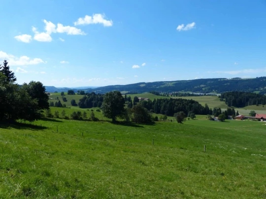 les-ponts-de-martel-la-chaux-de-fon-161