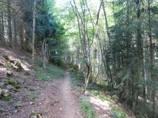 les-ponts-de-martel-la-chaux-de-fon-164