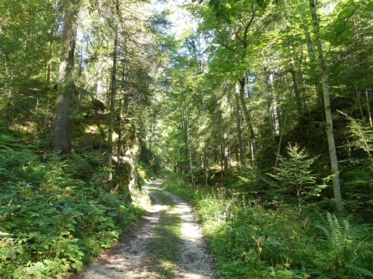 les-ponts-de-martel-travers-118