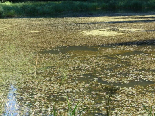 les-ponts-de-martel-travers-121