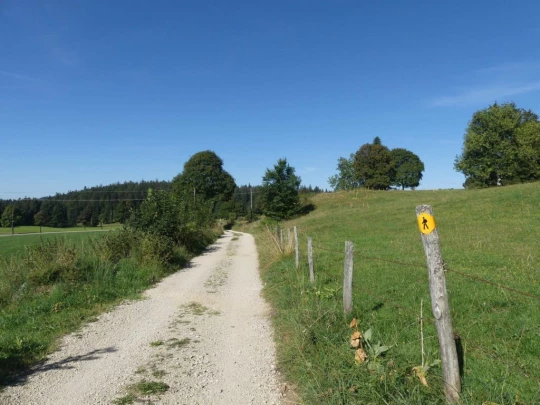 les-ponts-de-martel-travers-126