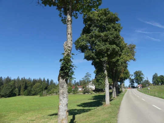 les-ponts-de-martel-travers-127