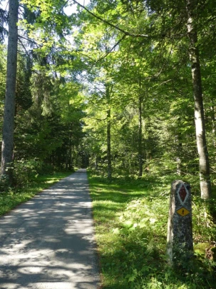 les-ponts-de-martel-travers-128