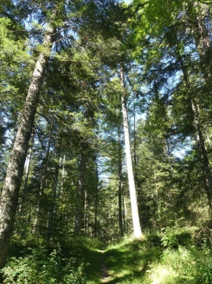 les-ponts-de-martel-travers-142