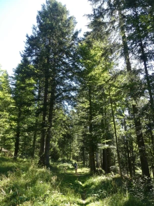 les-ponts-de-martel-travers-143