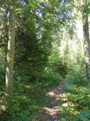 les-ponts-de-martel-travers-146