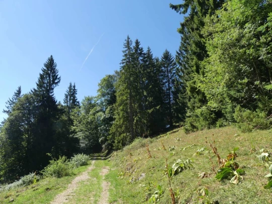 les-ponts-de-martel-travers-155