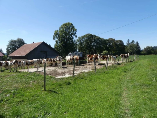 les-ponts-de-martel-travers-157